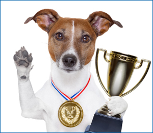 trophy_dog